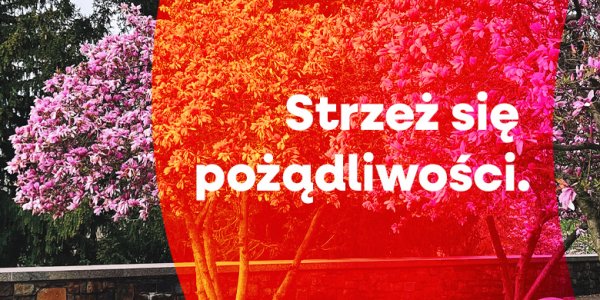 Strzeż się pożądliwości