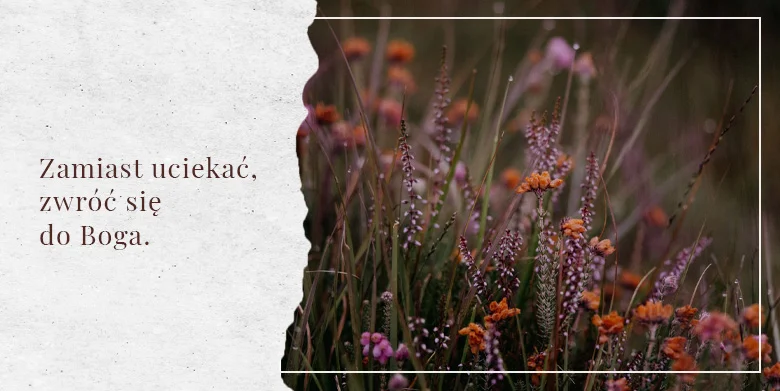 Zważaj na ostrzeżenia.