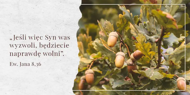 Wolny, by być sobą!