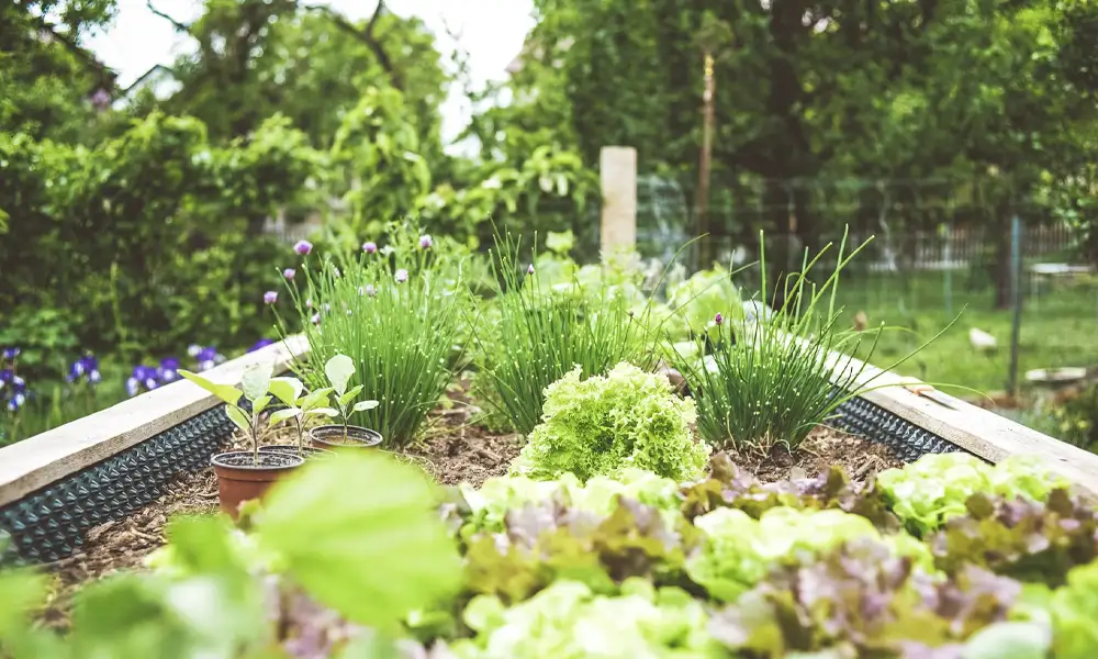 Dobre geny? Umiejętność pielęgnowania w sobie tego, co dobre i mądre.