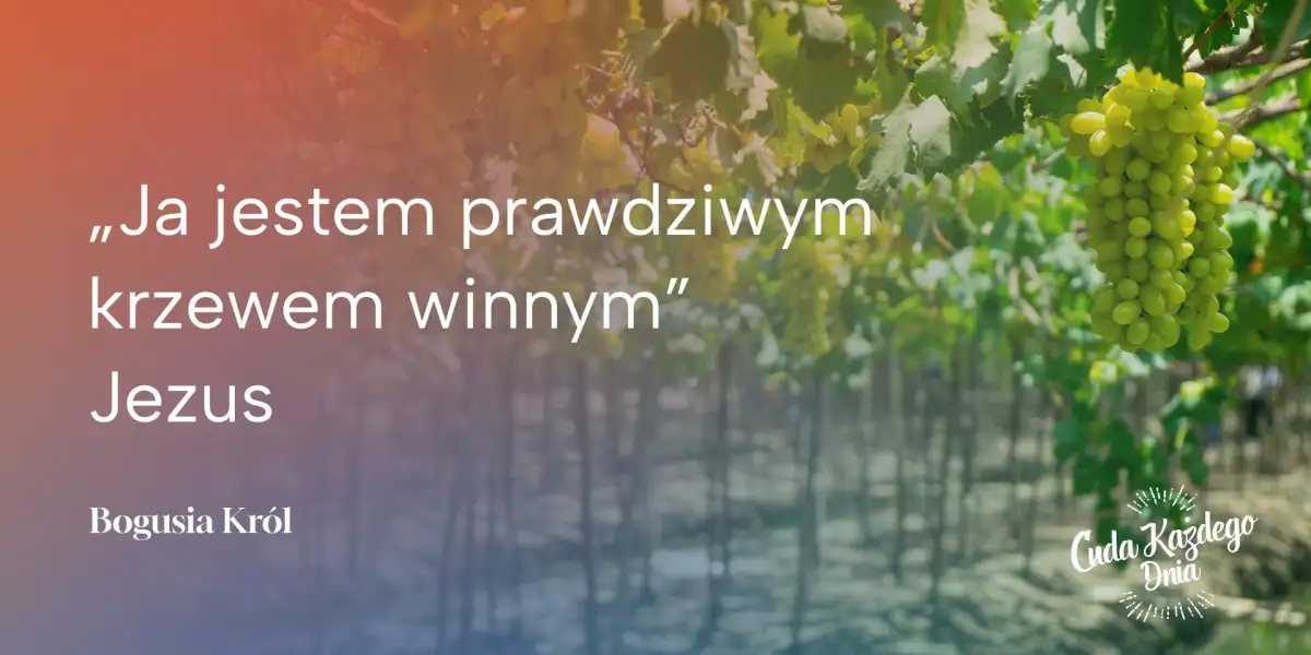Suchy badyl czy gałązka pełna owocu?