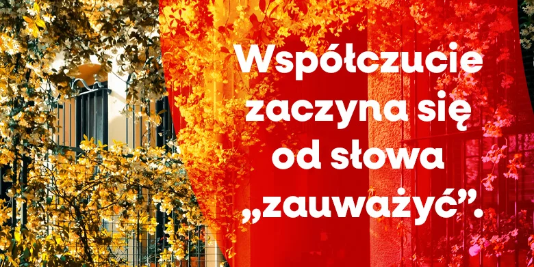 Współczucie zaczyna się od słowa „zauważyć”