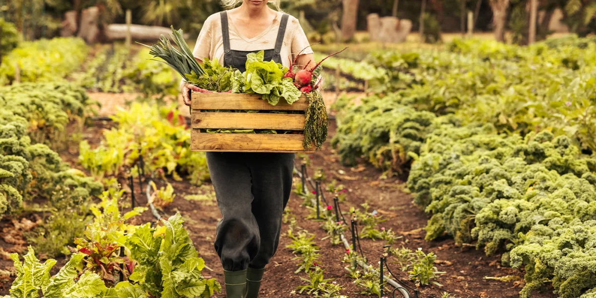 Po co dżdżownicy kolory? O ukrytym pięknie w każdym stworzeniu.
