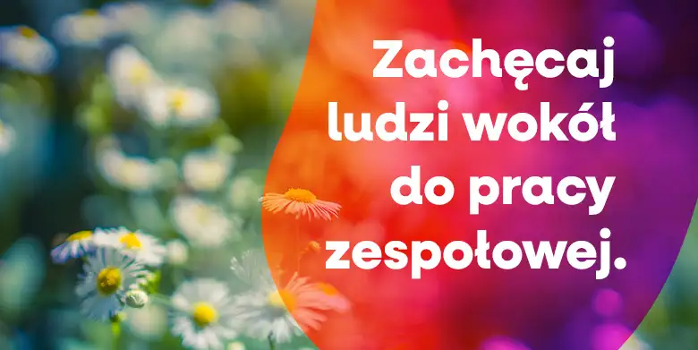 Dlaczego nie umiemy współpracować? (1)
