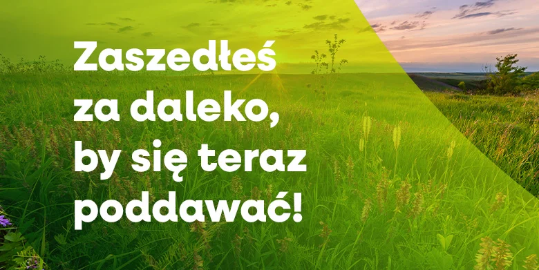 Zaszedłeś za daleko, by się teraz poddawać!