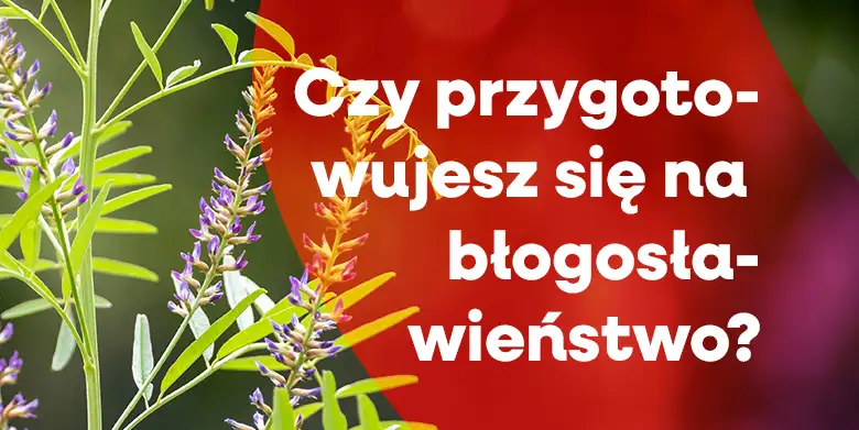Przygotowujesz się?