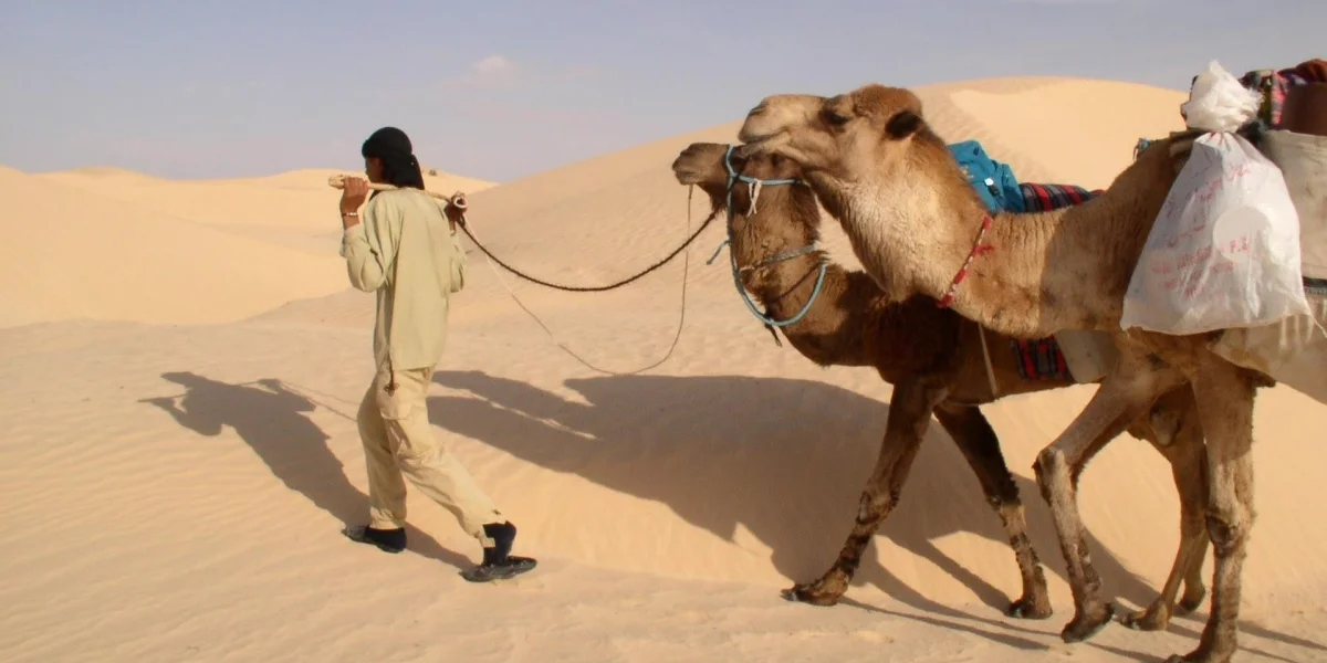 Kto jest Twoim przewodnikiem?