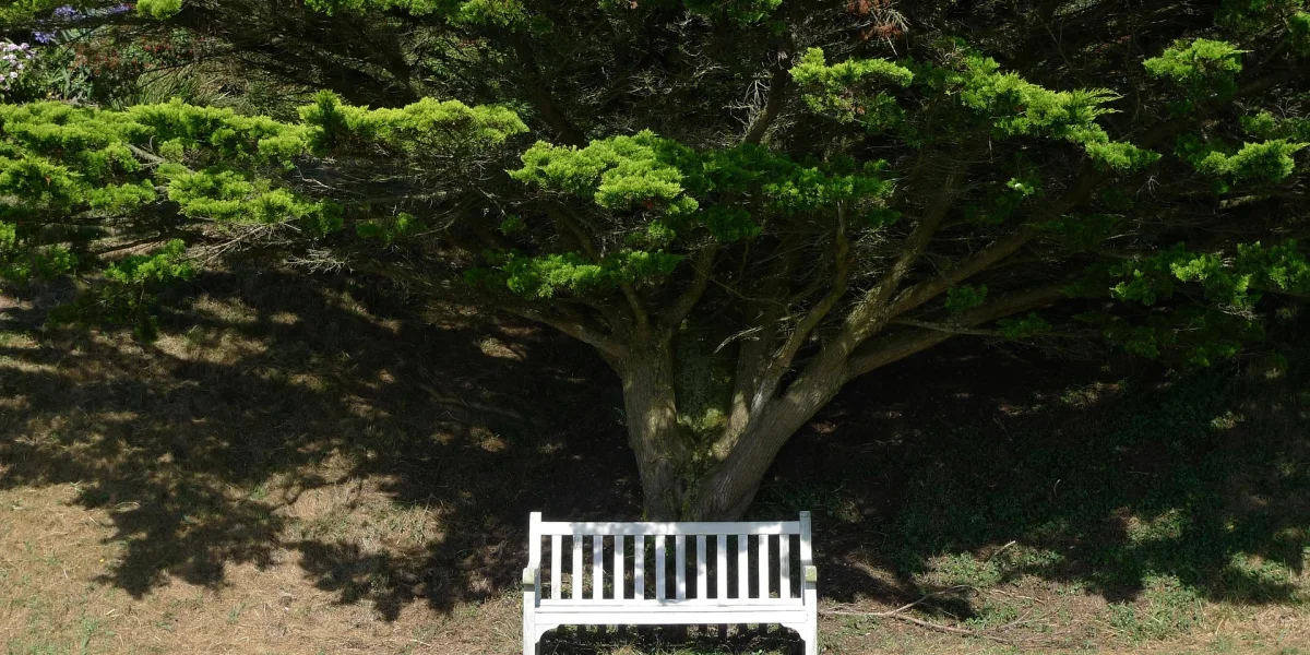 Nie trzeba wyjeżdżać, żeby odpocząć!