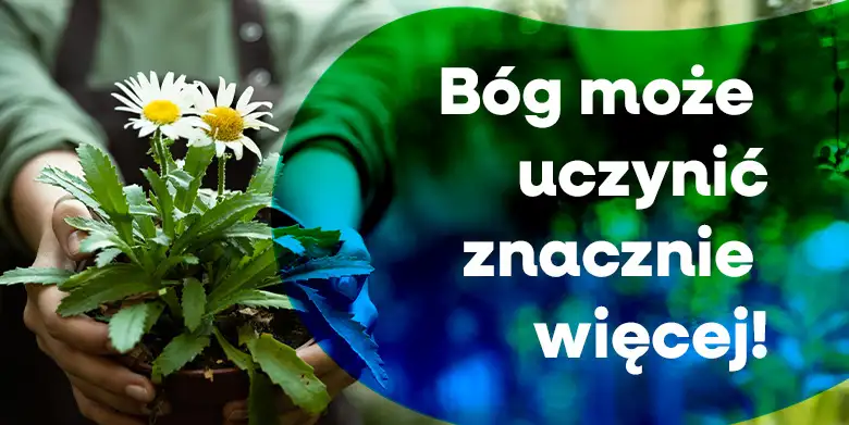 „Znacznie więcej” lub „znacznie mniej” (1)