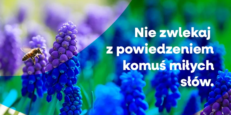 Powiedz, póki jeszcze możesz