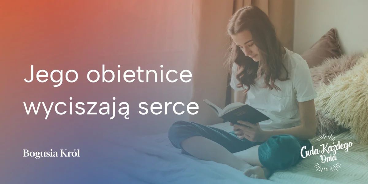 Jeszcze wczoraj wszystko było dobrze?