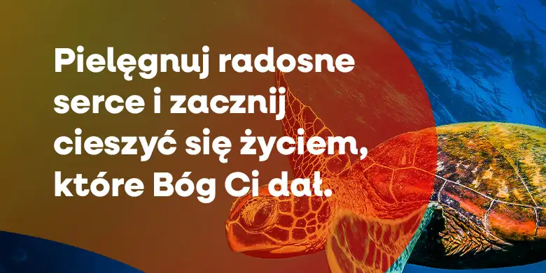 Boża odpowiedź na niepokój (3)