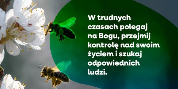 Nie załamuj się, tylko się podnieś (1)