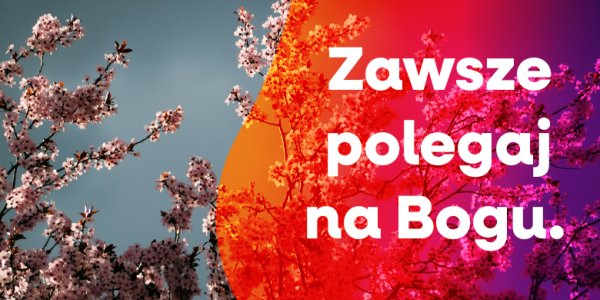 Na kim polegasz?