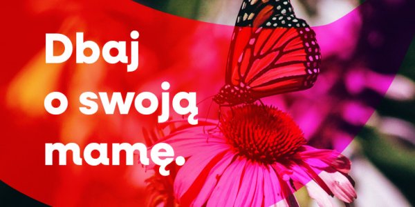Dbaj o swoją matkę