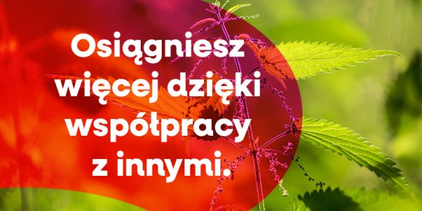 Dlaczego nie umiemy współpracować? (3)