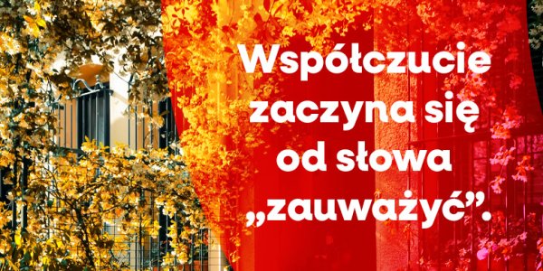 Współczucie zaczyna się od słowa „zauważyć”