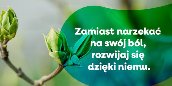 Nie załamuj się, tylko się podnieś (2)