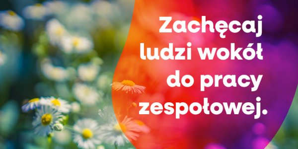 Dlaczego nie umiemy współpracować? (1)