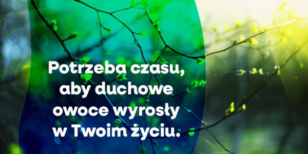 Przynoszenie duchowych owoców