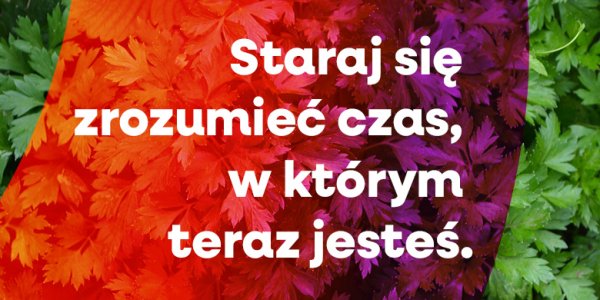 Poznaj porę, w jakiej jesteś