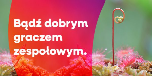 Dlaczego nie umiemy współpracować? (2)