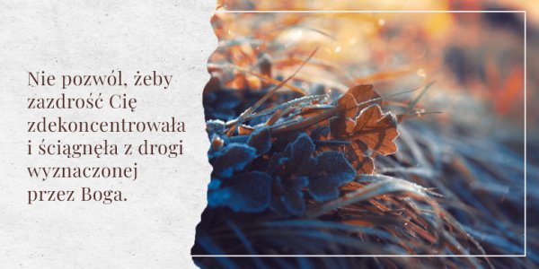 Strzeż się zazdrości