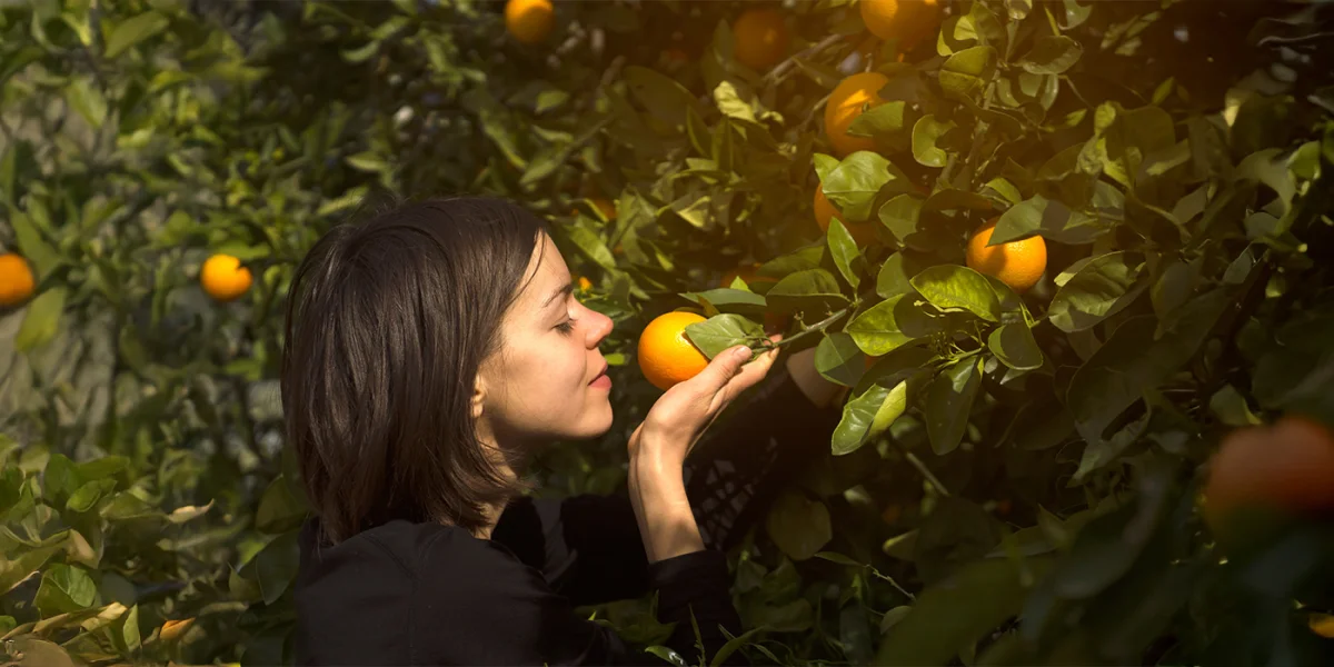 Czy masz wszystko, czego potrzebujesz? O Bożej obietnicy obfitości.