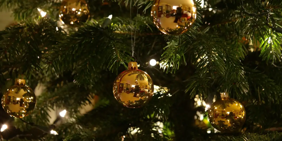 Wigilia — chwile, które warto zachować w pamięci!