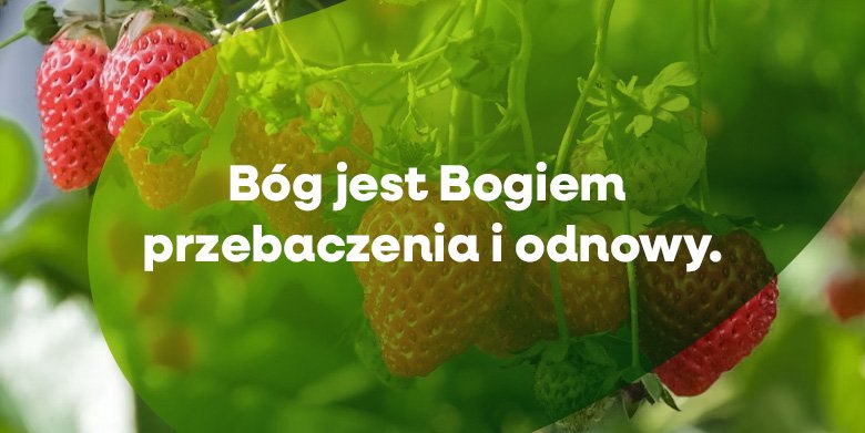 Biblia pomaga nam przezwyciężać pokusy (4)