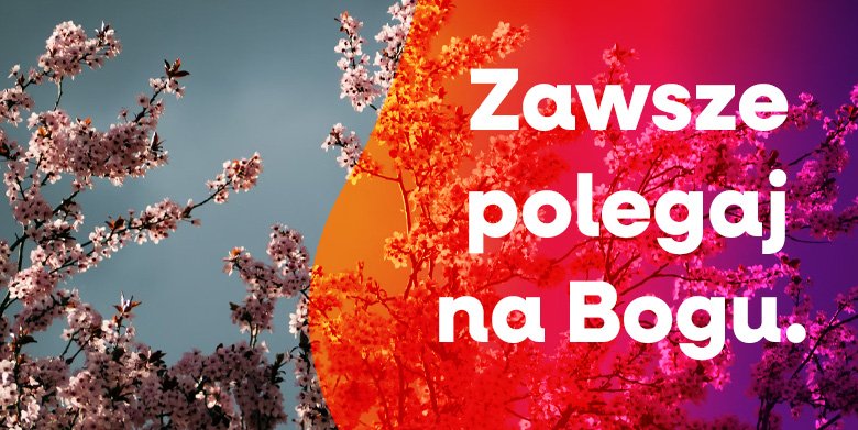 Na kim polegasz?