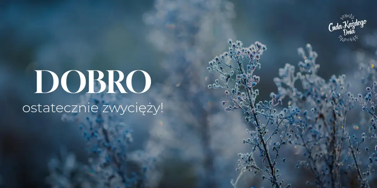 Dlaczego dobry Bóg dopuszcza zło?