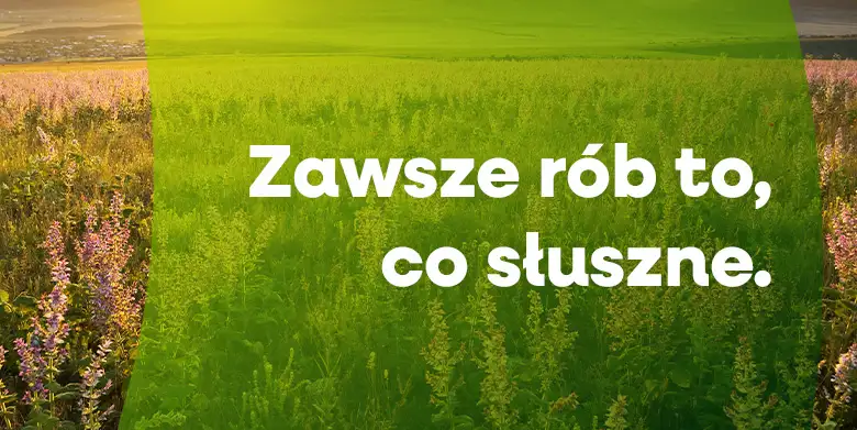 Zawsze rób to, co słuszne