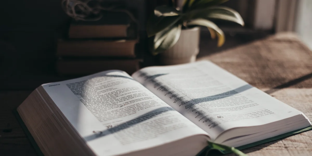 „Nie pojmuję tego!”