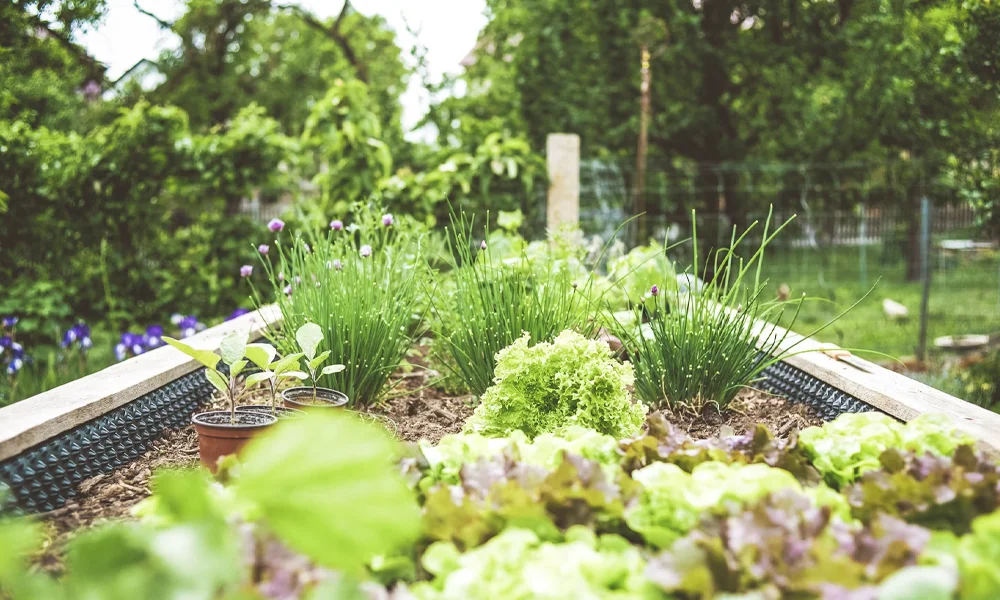 Dobre geny? Umiejętność pielęgnowania w sobie tego, co dobre i mądre.