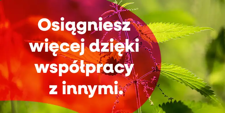 Dlaczego nie umiemy współpracować? (3)