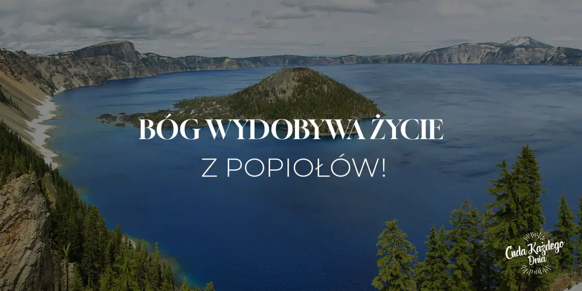 Coś nowego z niczego!