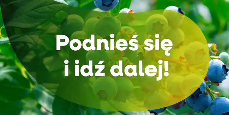 Podnieś się i idź dalej!