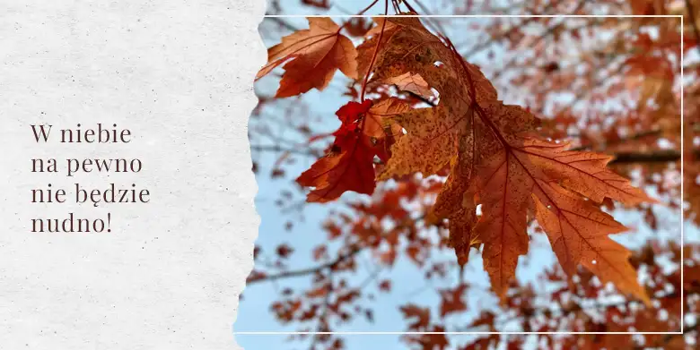 Co będziesz robić w niebie