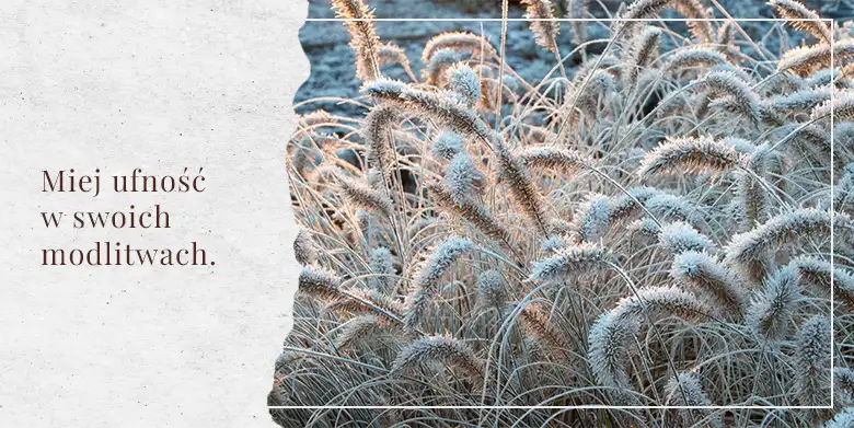 Miej ufność w swoich modlitwach