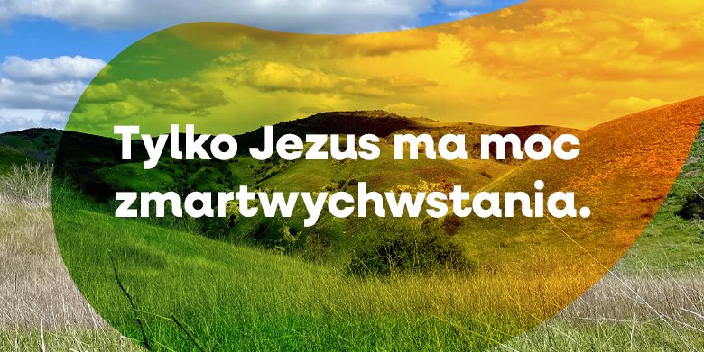 Czy w to wierzysz?