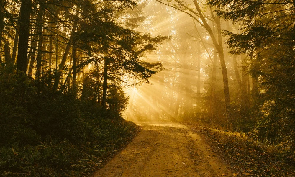 Tak bardzo brakuje światła!