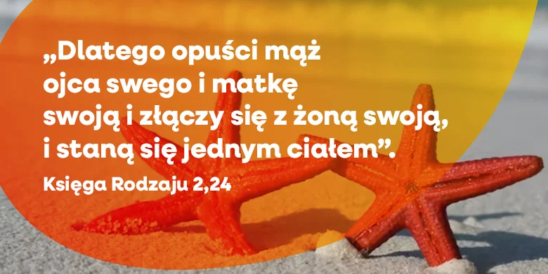 Rady dla teściów i teściowych