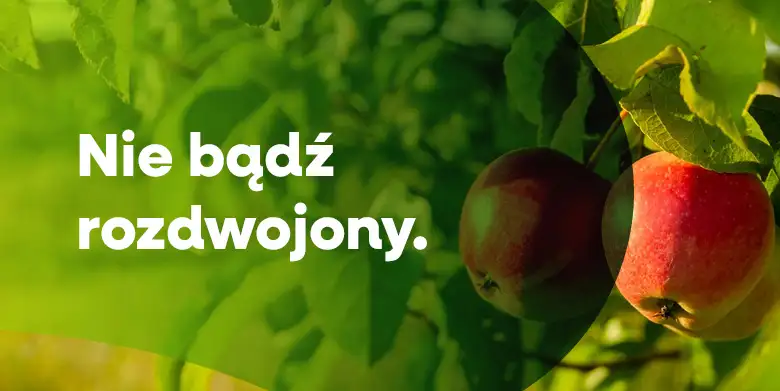 Nie bądź rozdwojony