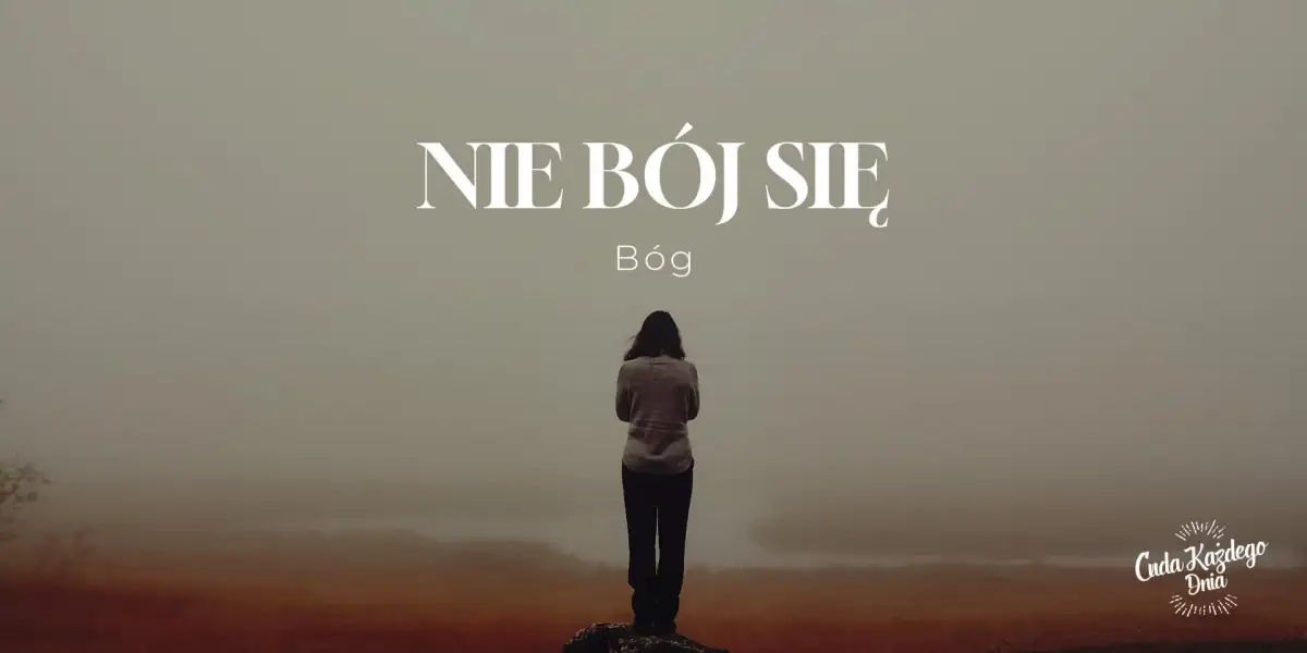 Wiemy jak, nie rozumiemy dlaczego