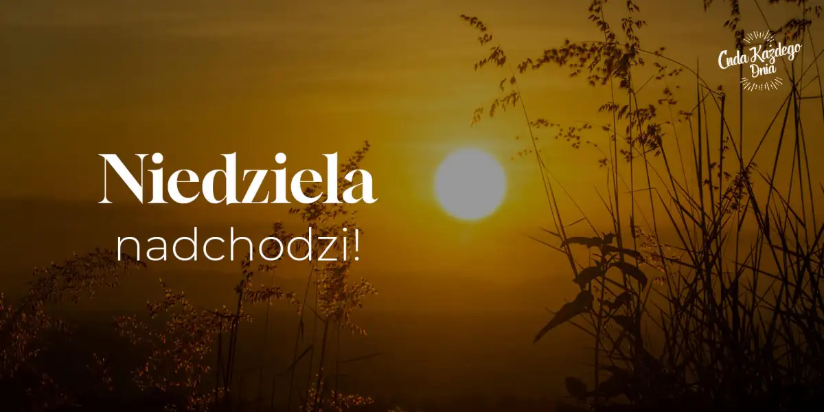 Niedziela nadchodzi!