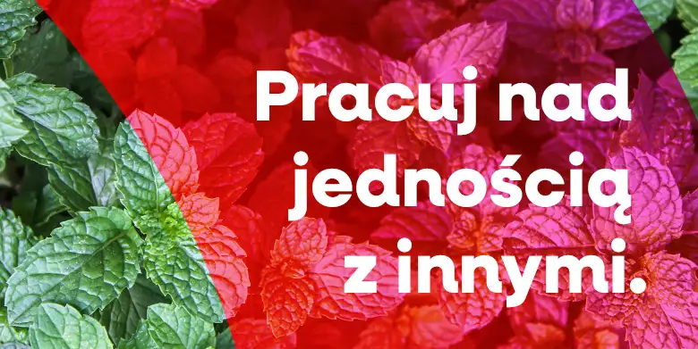 Dlaczego nie umiemy współpracować? (4)
