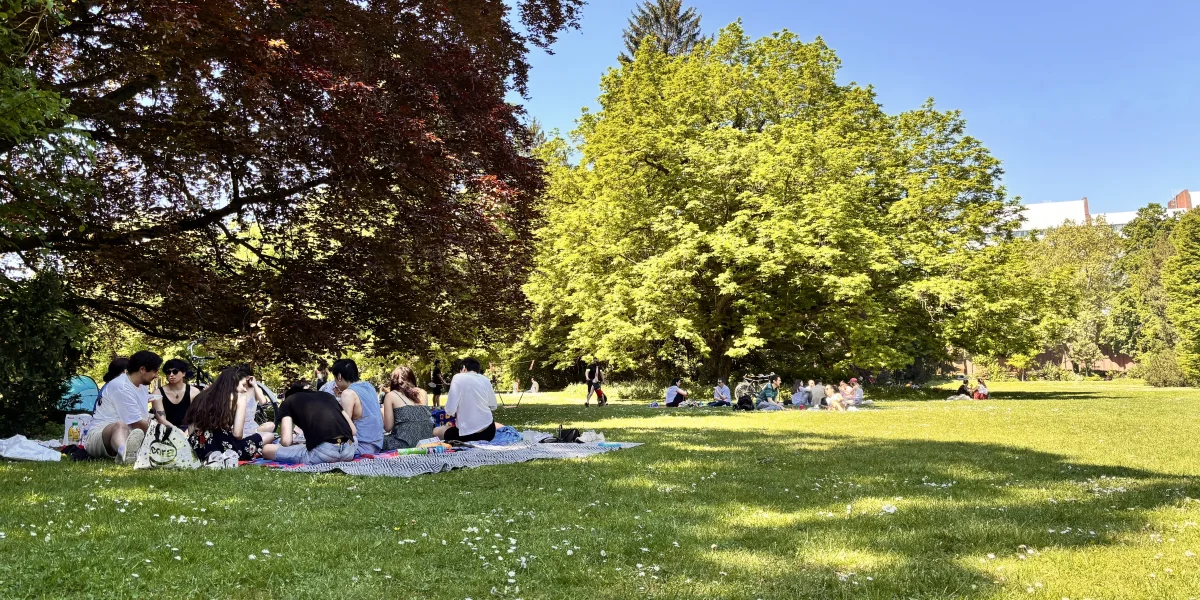 Przy stole rodzi się wspólnota: o wartości wspólnych posiłków.