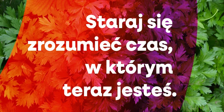 Poznaj porę, w jakiej jesteś