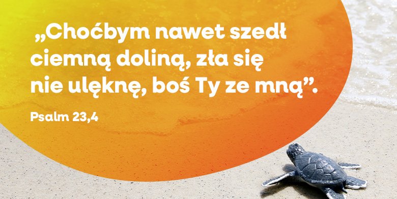 Cień nie może cię zranić
